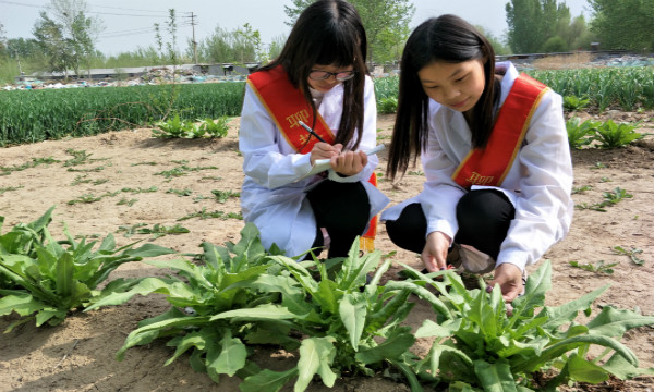 1526741029386490.jpg 原图.jpg