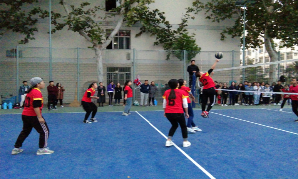 1540035886531735.jpg 600 (1).jpg