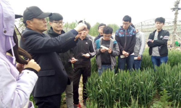 1493805187850622.jpg 【农学】举办种子专业实习活动.jpg
