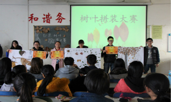 树叶1.jpg