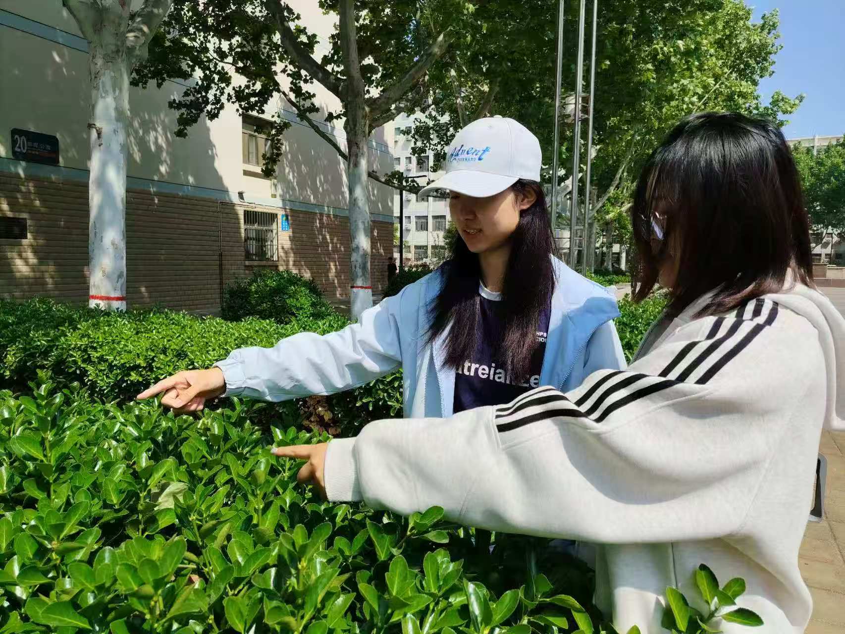 微信图片_20260429211921.jpg