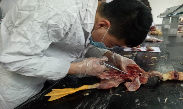 活动照片.jpg