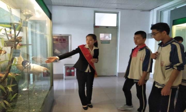 1526517842854384.jpg 2345_image_file_copy_2.jpg