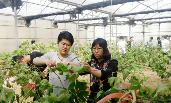 1493045225927906.jpg 【农学】举办植保专业实习活动.jpg