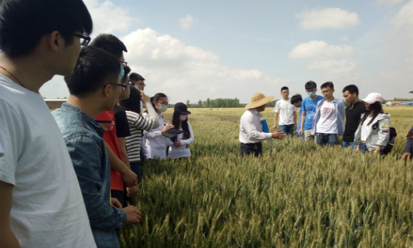 【农学】举办“新农大讲堂之小麦选育”活动.jpg