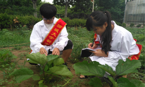 活动照片 (1).jpg